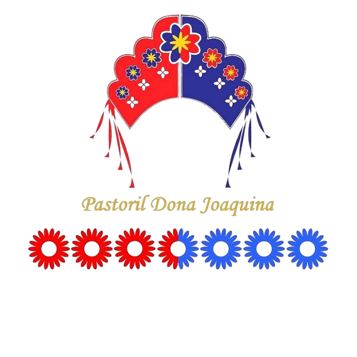 Banner Pastoril Dona Joaquina